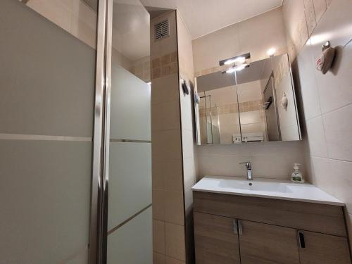 une salle de bain avec un lavabo et une douche dans l'établissement Appartement lumineux et bien agencé en plein centre, proche pistes, pour 2 à 4 personnes - FR-1-598-157, aux Gets
