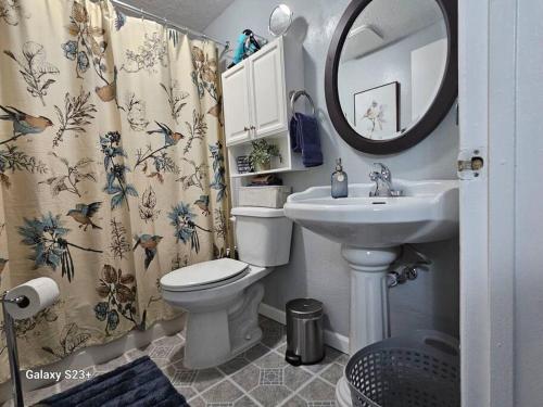 a bathroom with a sink and a toilet and a mirror at Under the Dome in Pocatello