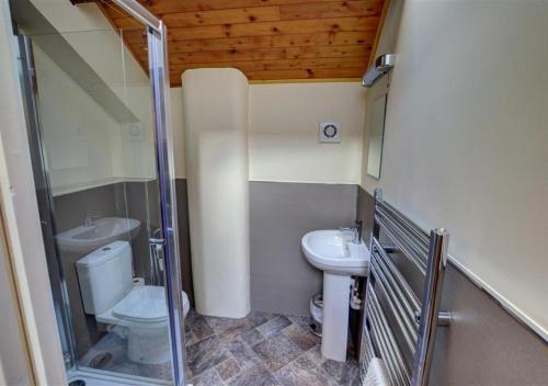 a small bathroom with a toilet and a sink at Y Stabl in Llandinam