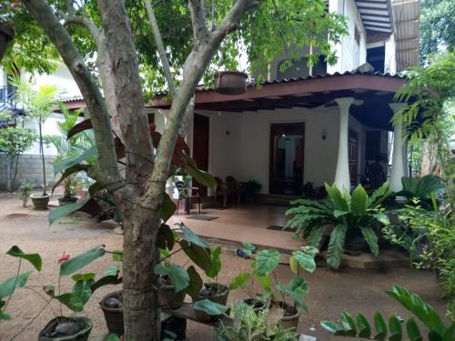 une maison avec un arbre en face dans l'établissement Ranmini Home Stay, à Anurâdhapura