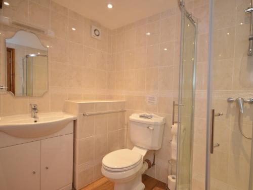 ein Bad mit einem WC, einem Waschbecken und einer Dusche in der Unterkunft 4 Bed in Bewdley OSHIP in Highley