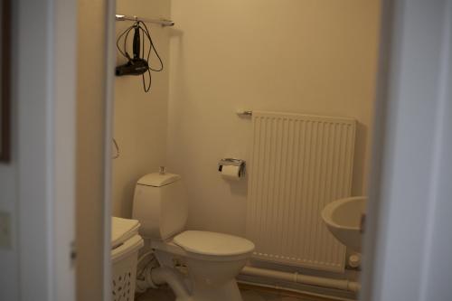 a small bathroom with a toilet and a sink at Lagarfell Studios in Egilsstadir