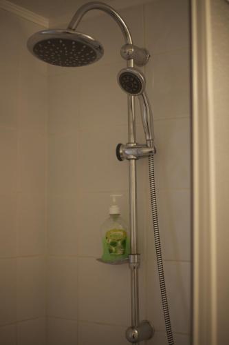 a shower with a shower head in a bathroom at Lagarfell Studios in Egilsstadir