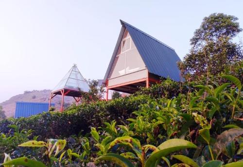 Κήπος έξω από το Glass camping