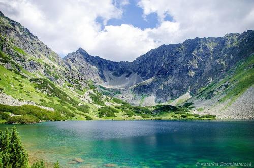 シャレーの近くで見られる自然の景観