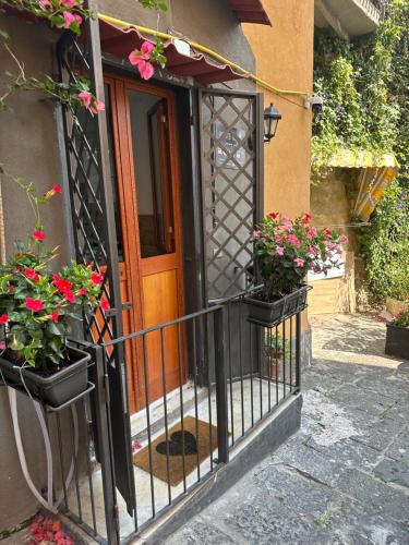 an entrance to a house with potted flowers on a balcony at Petite Suite in Naples