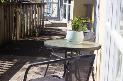 a table with a potted plant sitting on a porch at Aston Norwood Chalets in Upper Hutt