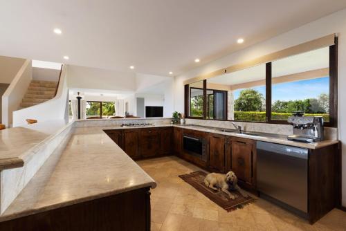 a kitchen with a dog sitting on the floor at Riana in Coorabell Creek