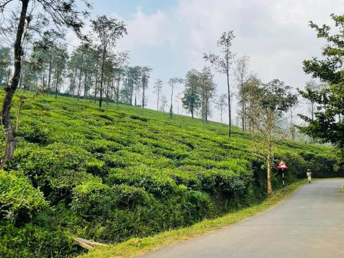 a person riding a bike down a road next to a green hill at PEARL HUT home stay vythiri Wayanad in Vythiri