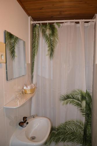 a bathroom with a sink and a shower with a plant at Hotel Garni Schlossblick in Hohenschwangau