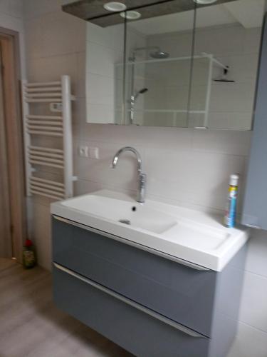 une salle de bain avec un lavabo et un miroir dans l'établissement Gîte Maisons Bleues chez A et A WOLFF, à Rhinau