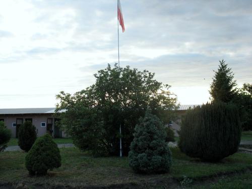 Fotografie z fotogalerie ubytování Apartamenty Stajni Jazon Malbork v destinaci Malbork
