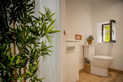 uma casa de banho com um WC e uma planta em Bilbao centro Zumaia2 em Bilbao