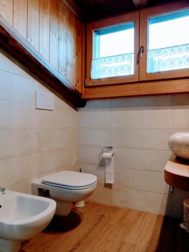 a bathroom with a toilet and a sink at B&B La Genzianella in Perarolo di Cadore