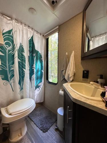 łazienka z toaletą i umywalką w obiekcie Glamping Rio Sur w mieście Puerto Varas
