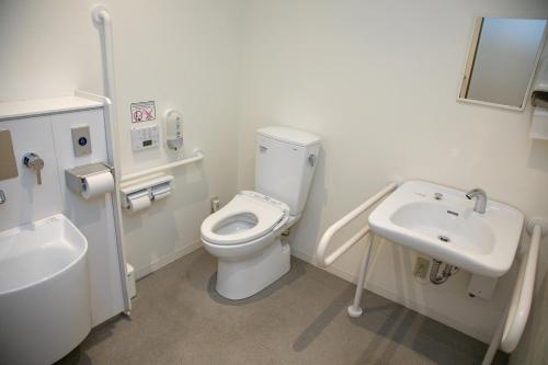 a bathroom with a toilet and a sink at Hotel Axiainn Osaka-Uehonmachi in Osaka