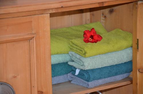 ein Regal mit Handtüchern und eine rote Blume darüber in der Unterkunft Angel's Apartment in Karlsbad