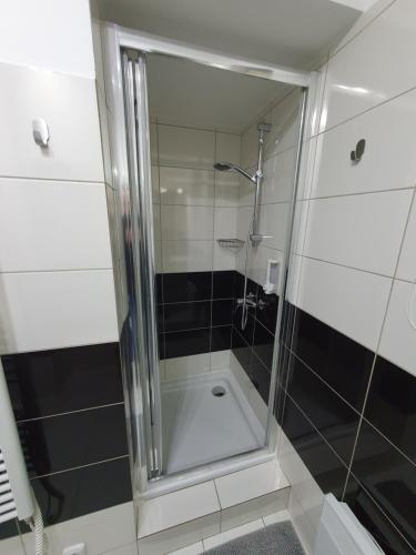 y baño con ducha y puerta de cristal. en Skorkovského Business, en Brno