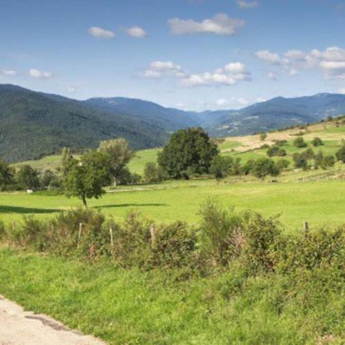 a field of green grass with mountains in the background at Agréable maison de village avec balcon in Roiffieux