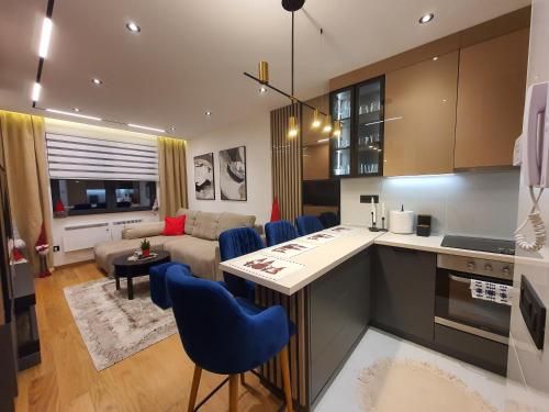 Kuchyň nebo kuchyňský kout v ubytování Lazarevic Lux - Vila Pekovic