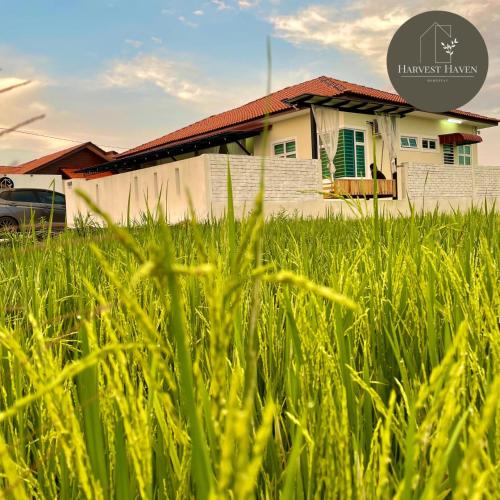 Gallery image of Harvest Haven Homestay in Kota Bharu