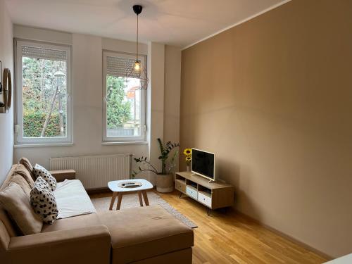 een woonkamer met een bank en een tv bij Sleep-Enjoy Apartment in Novi Sad