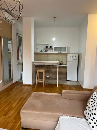 een woonkamer met een bank en een keuken bij Sleep-Enjoy Apartment in Novi Sad