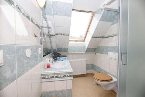 a bathroom with a sink and a toilet at Wellness Hotel TTC in Vrchlabí