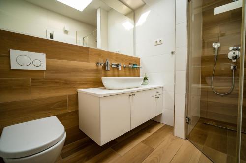 uma casa de banho com um WC, um lavatório e um chuveiro em Villa Flavia and Alba - Private Heated Pool em Novalja