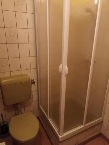 ein Bad mit einem WC und einer Dusche in der Unterkunft Zimmer Kropfmoar in Katsch an der Mur