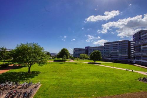 un parc avec de l'herbe verte, un arbre et des bâtiments dans l'établissement Ferienpark - Haus G, App 0G0305, à Heiligenhafen