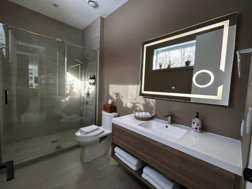 a bathroom with a toilet and a sink and a shower at Luxury Mountain Retreat with Spa Near Mont Tremblant in La Conception