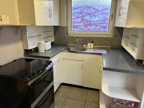 Elle comprend une petite cuisine avec un évier et une fenêtre. dans l'établissement Inviting 2-Bed Apartment in Southampton, à Southampton