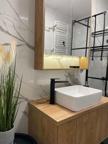 クドヴァ・ズドゥルイにあるApartament Pogodnaの白い洗面台と鏡のあるバスルーム