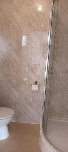 a bathroom with a shower and a toilet at Riverdale Hall Hotel & Leisure in Bellingham