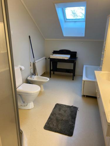 a bathroom with a toilet and a sink and a piano at Sjötorp Säteri Bed & Breakfast in Larv
