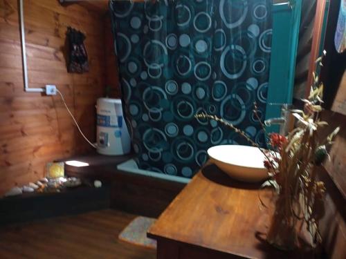 baño con lavabo y cortina de ducha en Cabaña los sauces en Tigre
