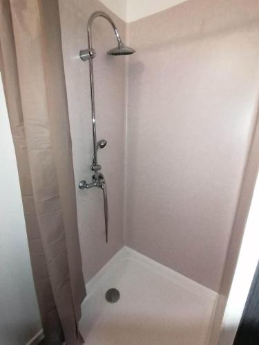 a shower stall in a bathroom with a shower head at Résidence Duplex in Montbéliard