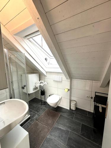 a bathroom with a toilet and a sink and a window at Zentrale Wohnung mit Dachterasse in Bregenz