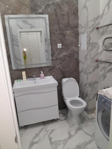 a bathroom with a toilet and a sink and a mirror at Алпамыс in Prigorodnyy
