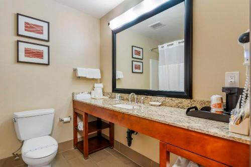a bathroom with a toilet and a large mirror at Comfort Inn & Suites Redwood Country in Fortuna