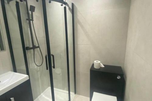 a bathroom with a shower and a toilet and a sink at Entire Apartment perfectly located for Heathrow Airport in Uxbridge