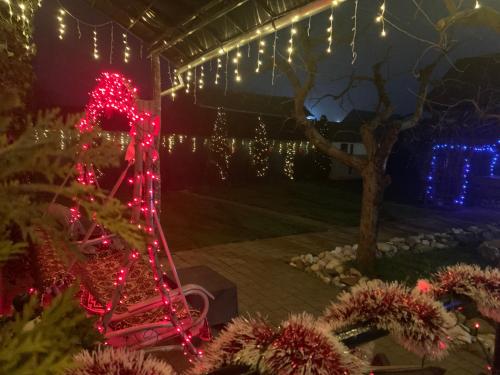 a christmas display in a garden with christmas lights at CASA LUI MOȘU in Alba Iulia