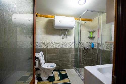 a bathroom with a toilet and a shower and a sink at House La Frateli in Korçë