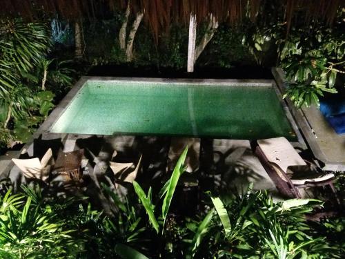 uma piscina verde num jardim com plantas em eco beach house bali em Penginuman