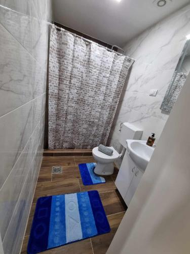 a bathroom with a toilet and a shower with blue mats at Apartman Sparta in Sombor