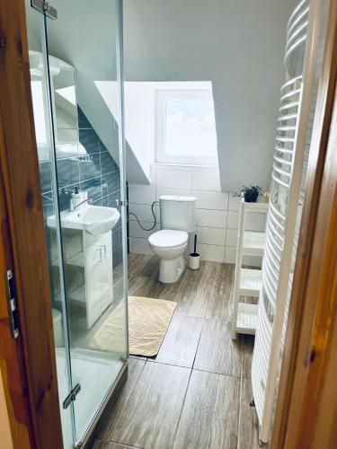 a bathroom with a toilet and a glass shower at Chalupa Lenora in Lenora