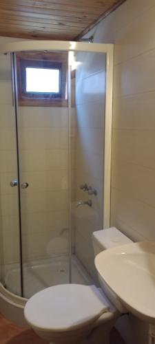 La salle de bains est pourvue d'une douche, de toilettes et d'un lavabo. dans l'établissement Teushen 5, à Perito Moreno