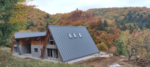 a house with a metal roof on top of a hill at Cabana Pietrele Șoimului in Cavnic