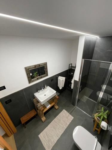 ein Bad mit einem Waschbecken, einer Dusche und einem WC in der Unterkunft Appartamento Gioia di Bosco in Carano